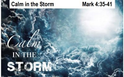 Calm in the Storm
