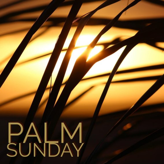 Palm Sunday 2020 Sermon