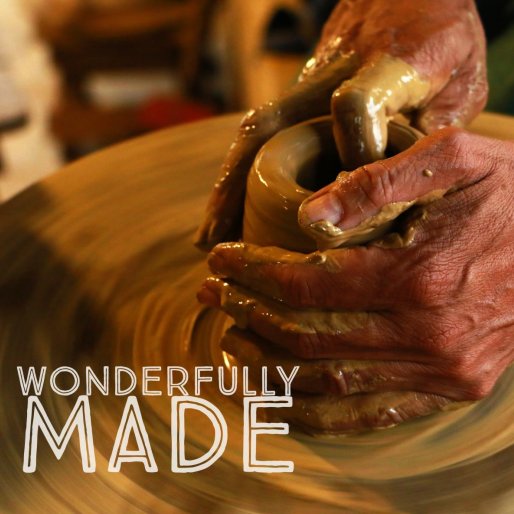 Wonderfully Made