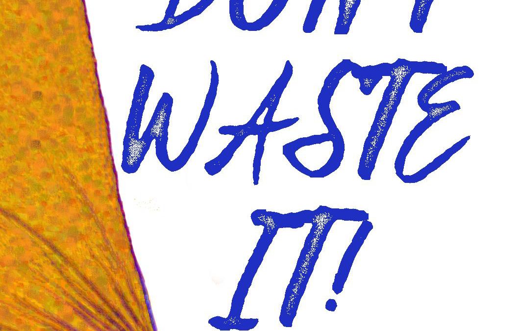 Don’t Waste It