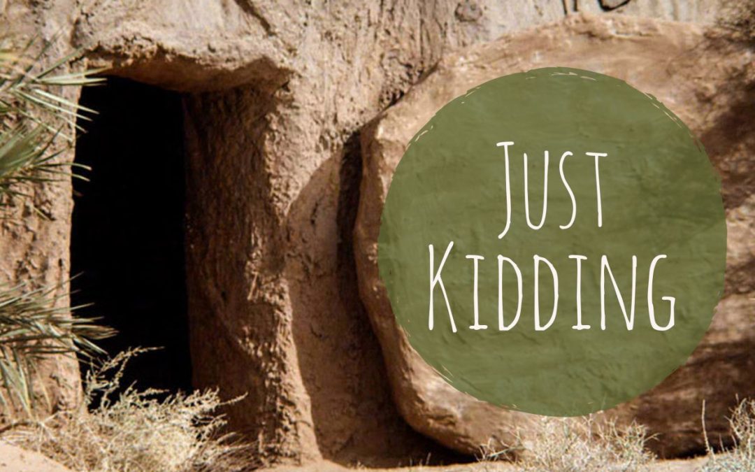 Just Kidding Cover