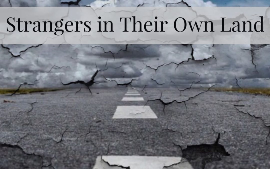 Strangers Web