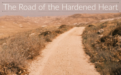 The Road of the Hardened Heart Sermon