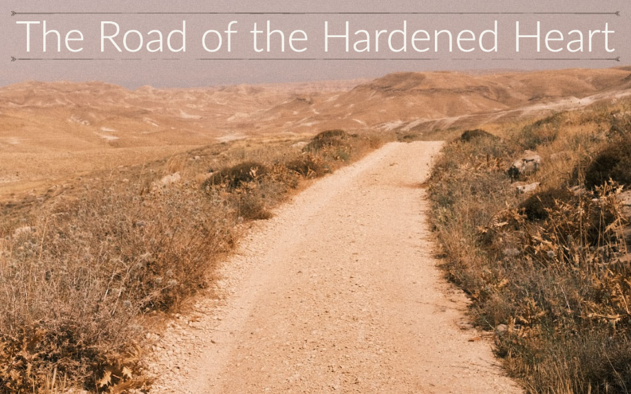 The Road of the Hardened Heart