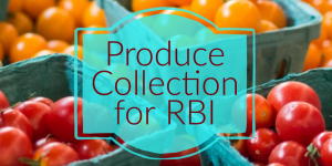 Red and orange cherry tomatoes in teal containers with the text "Produce Collection for RBI"
