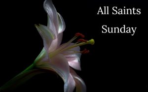A light pink lily bloom on a stark black background with the text "All Saints Sunday"