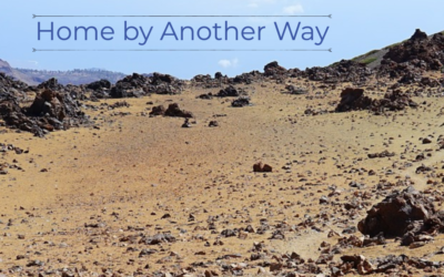Home by Another Way Sermon