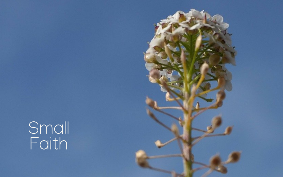 Small Faith