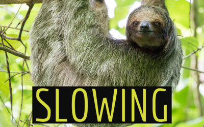 Slowing