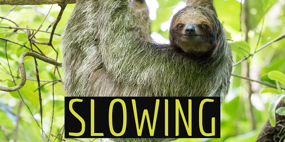 Slowing Website