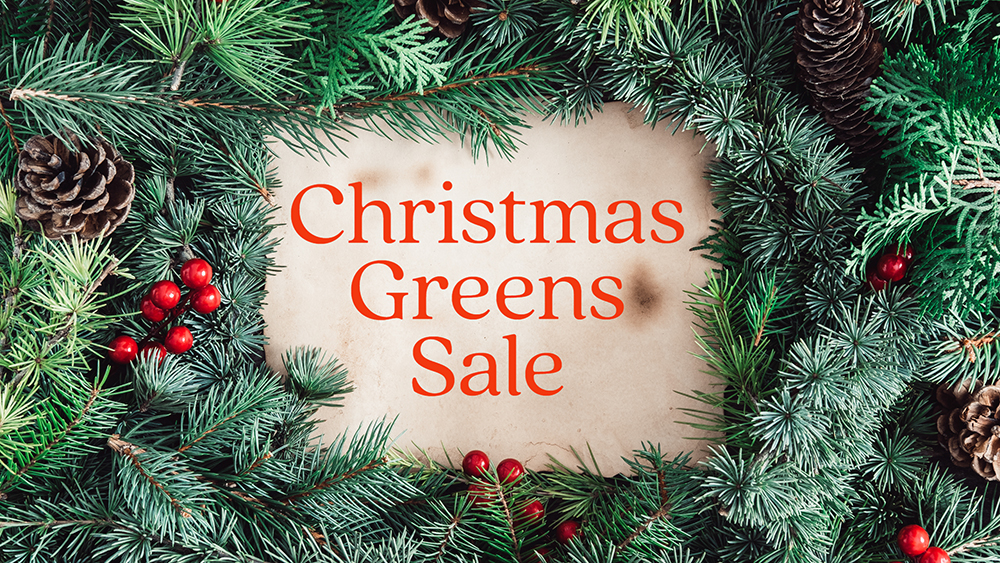 Xmas Greens Sale slide smaller