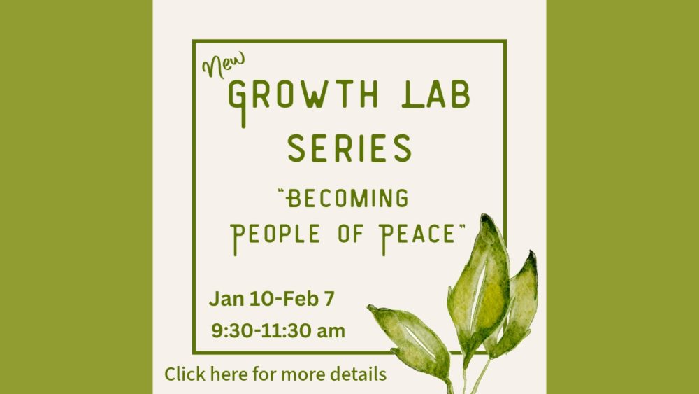 Growth Lab 2026 website